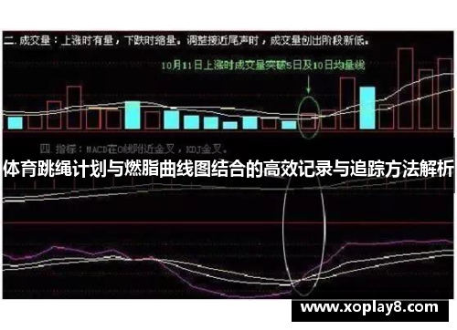 体育跳绳计划与燃脂曲线图结合的高效记录与追踪方法解析